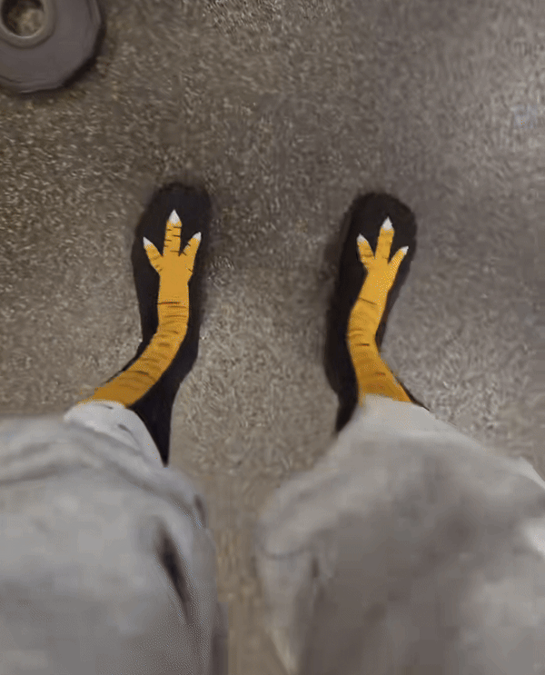 Funky Chicken Claw Socks