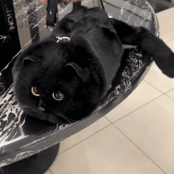 Adorable Cat Shoulder Bag